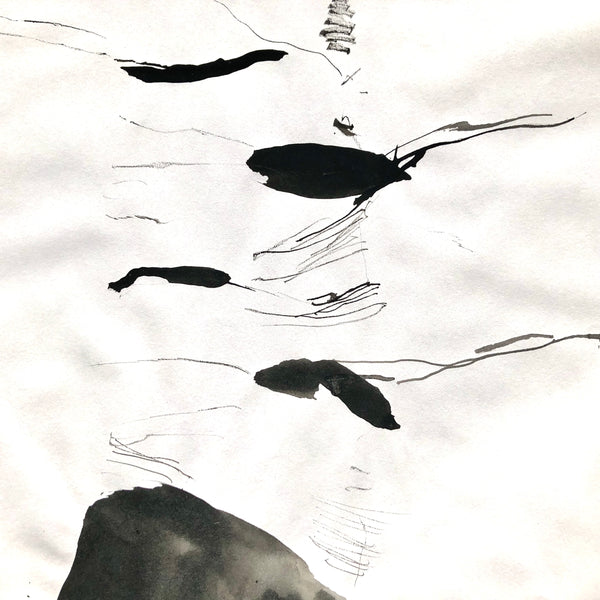 Arbre ciel - Bouleau 5