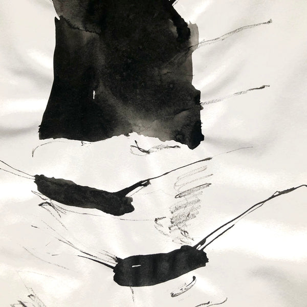 Arbre ciel - Bouleau 6