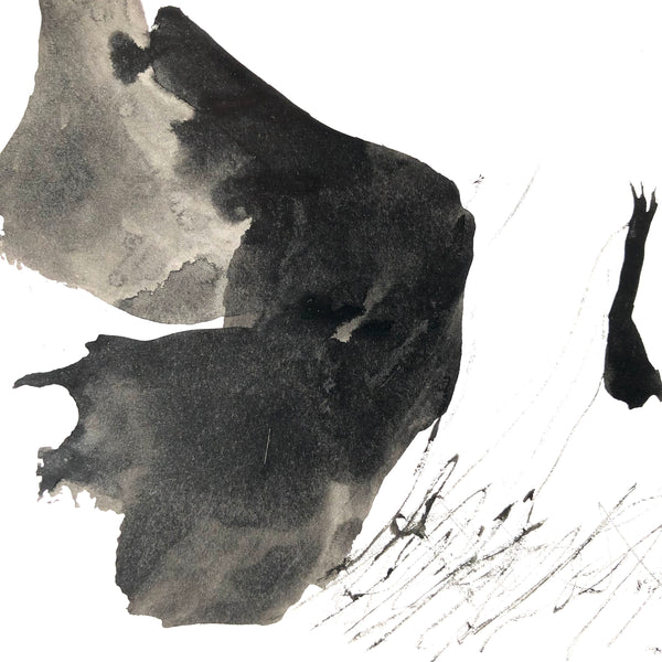 Arbre ciel - Bouleau 6