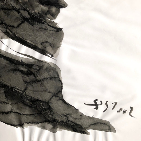 Arbre ciel - Bouleau 7