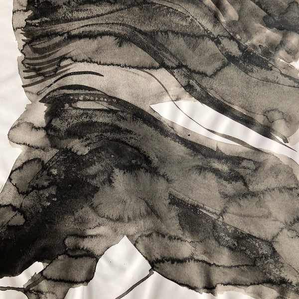 Arbre ciel - Bouleau 7