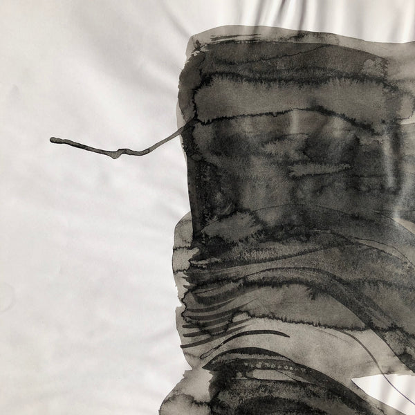 Arbre ciel - Bouleau 7