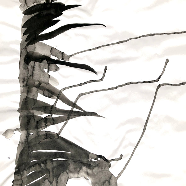 Arbre ciel - Bouleau 8