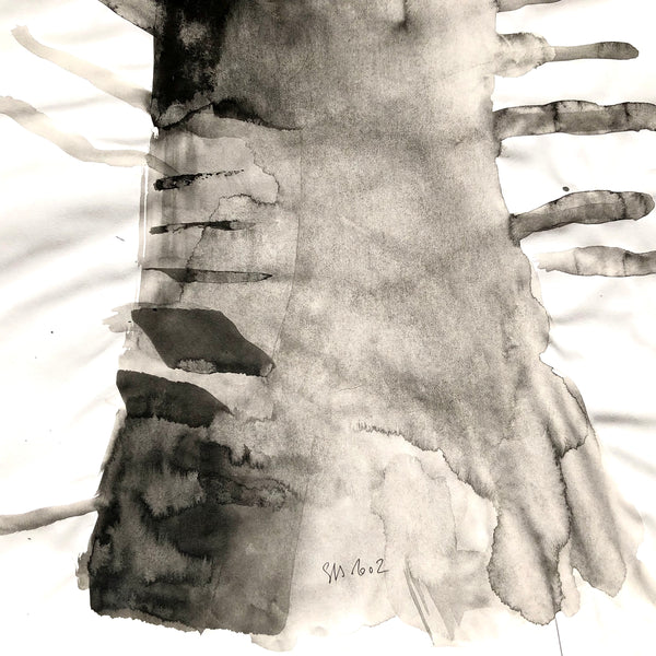 Arbre ciel - Bouleau 9