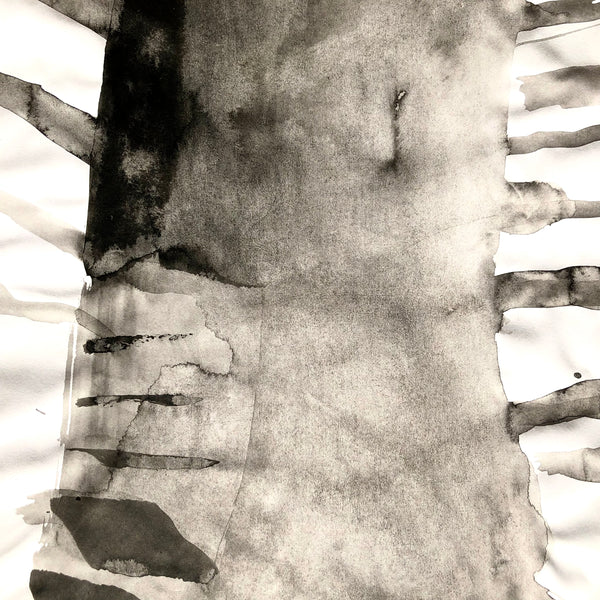 Arbre ciel - Bouleau 9