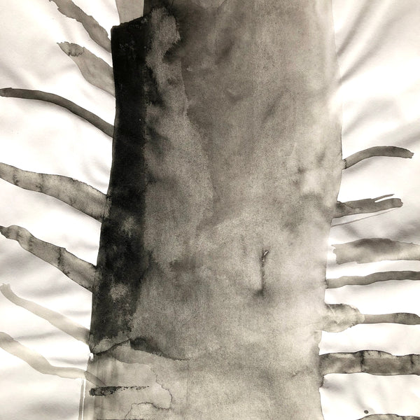 Arbre ciel - Bouleau 9