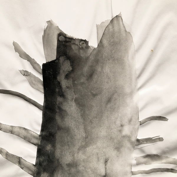 Arbre ciel - Bouleau 9