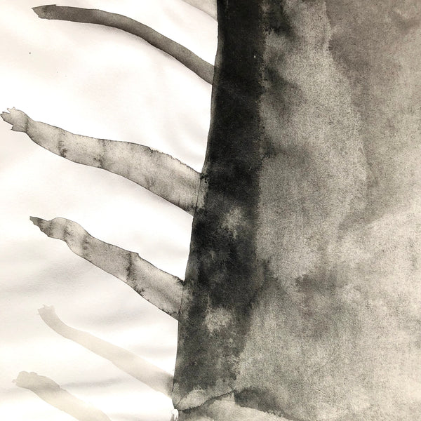 Arbre ciel - Bouleau 9