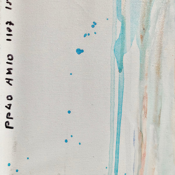 PP40 - The man from Havana