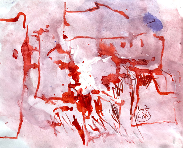 PP40 XS10-The man from Havana