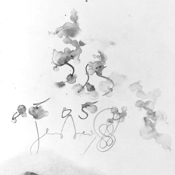 Painting with the rain 3