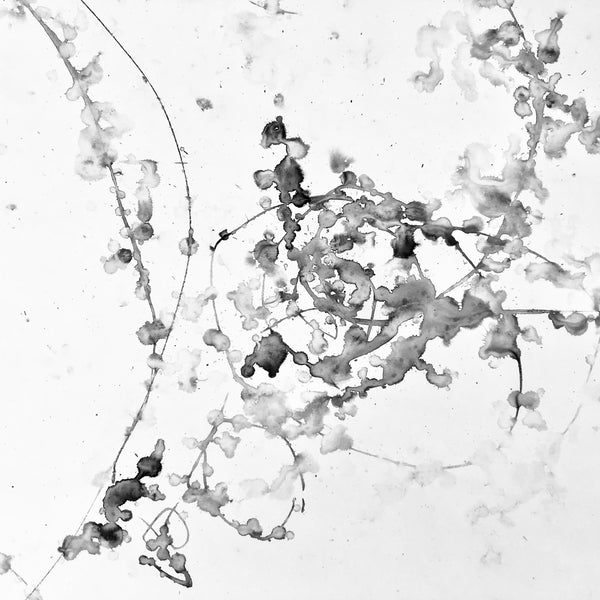 Painting with the rain 4